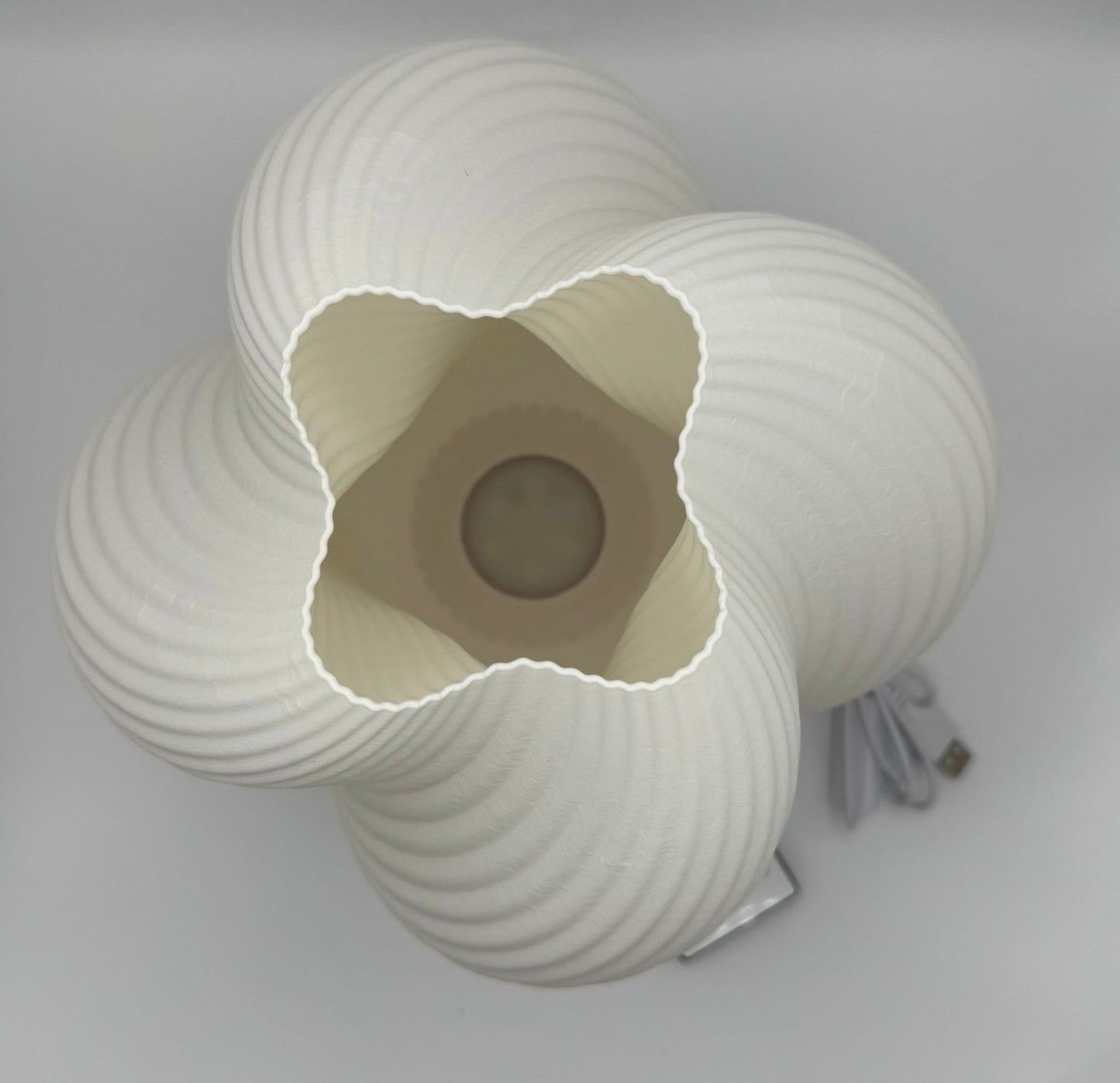 Seashell Lamp