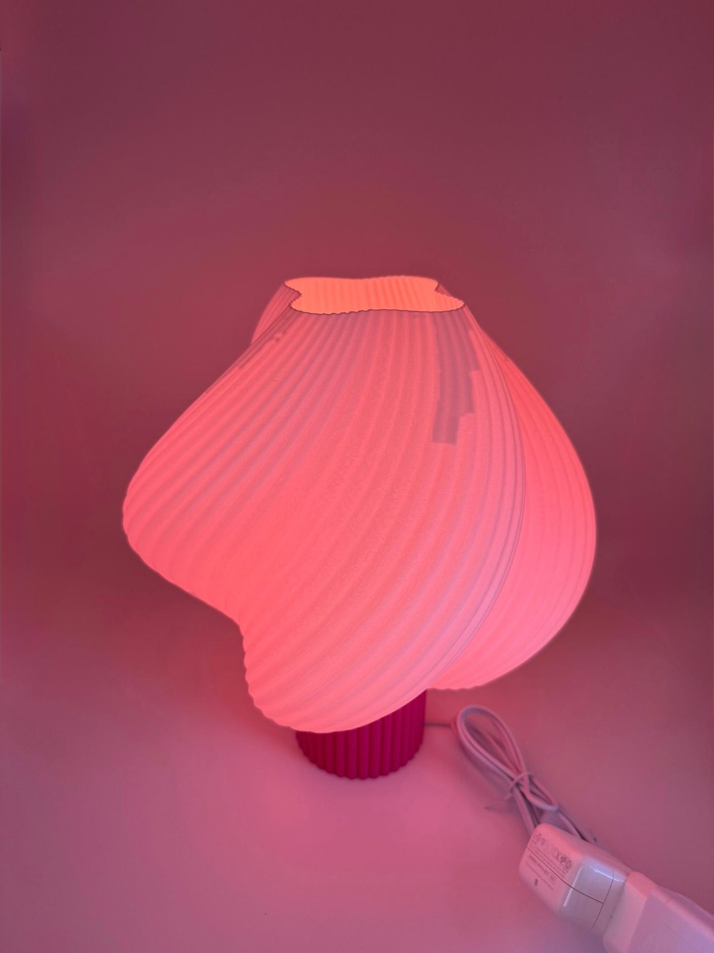 Seashell Lamp